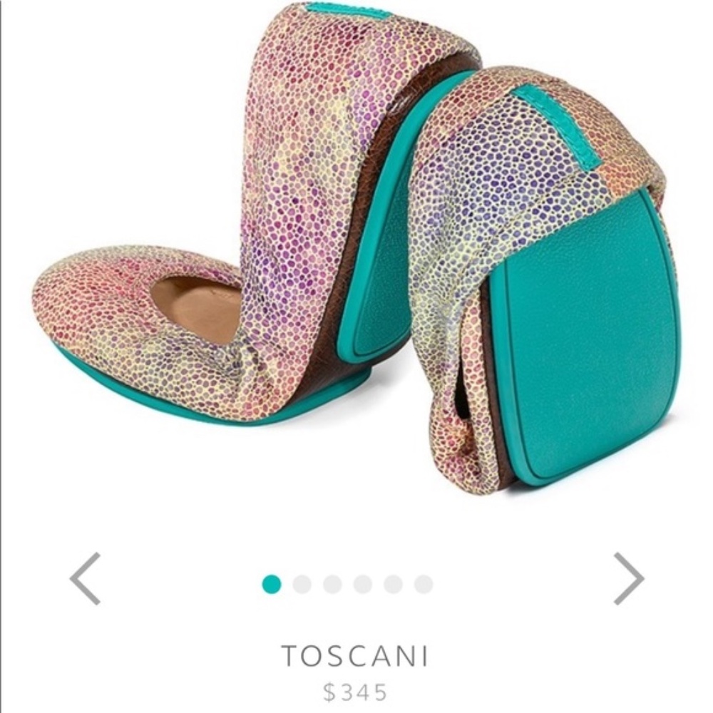 Tieks Toscani Size 7 (Limited Edition)